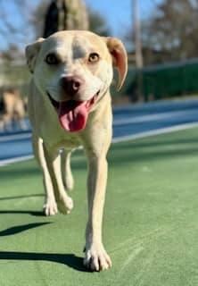 Lyla (20250224-07) — thumbnail 3