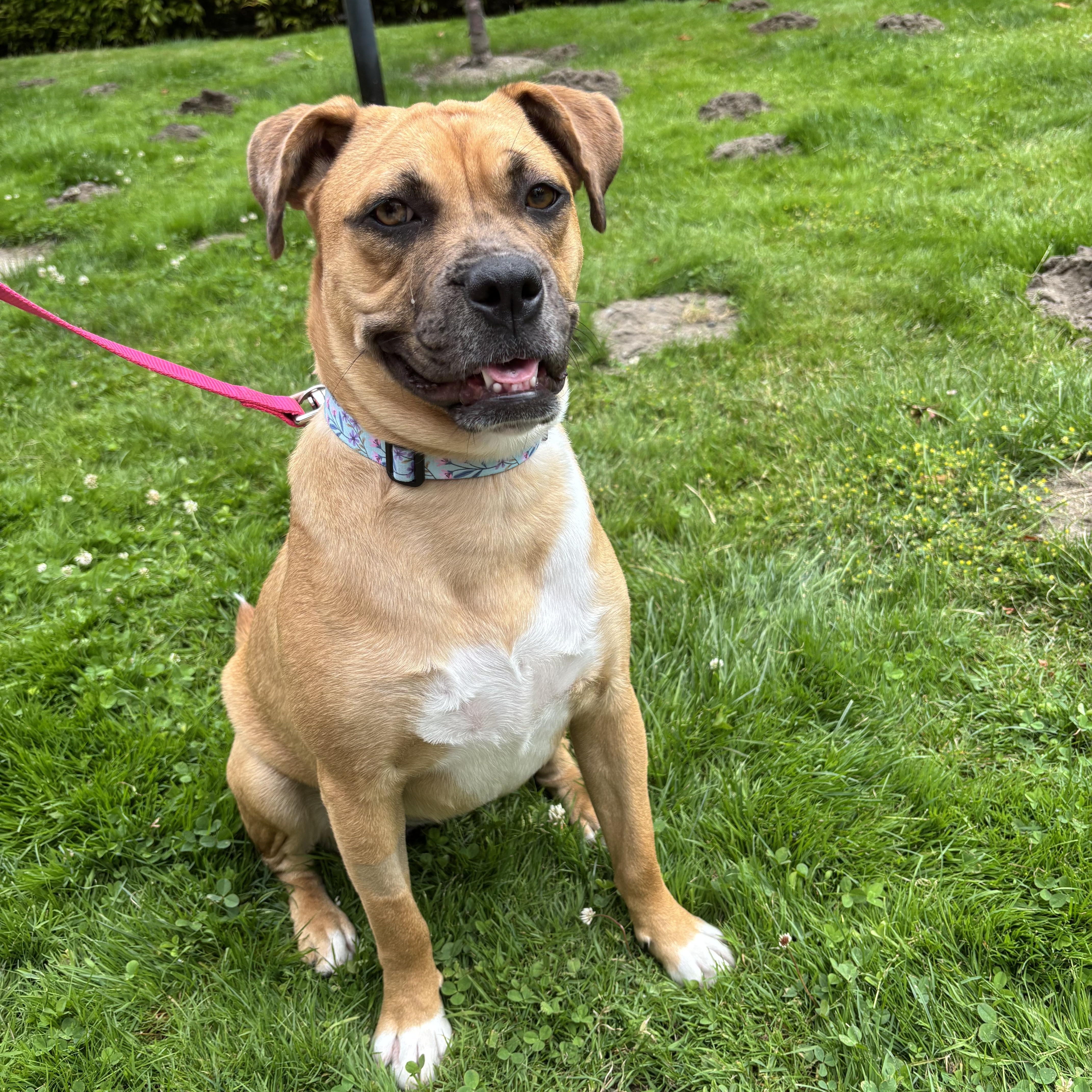 Maggie, Young Female unknown