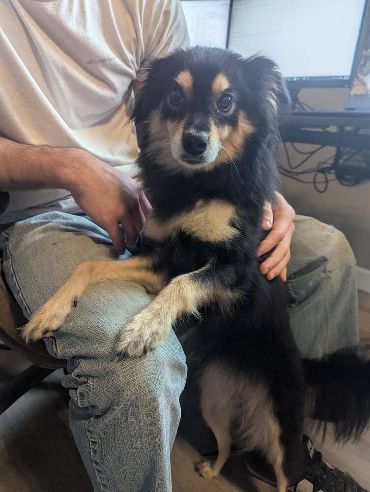 Luna (Jinxy)~ — thumbnail 2