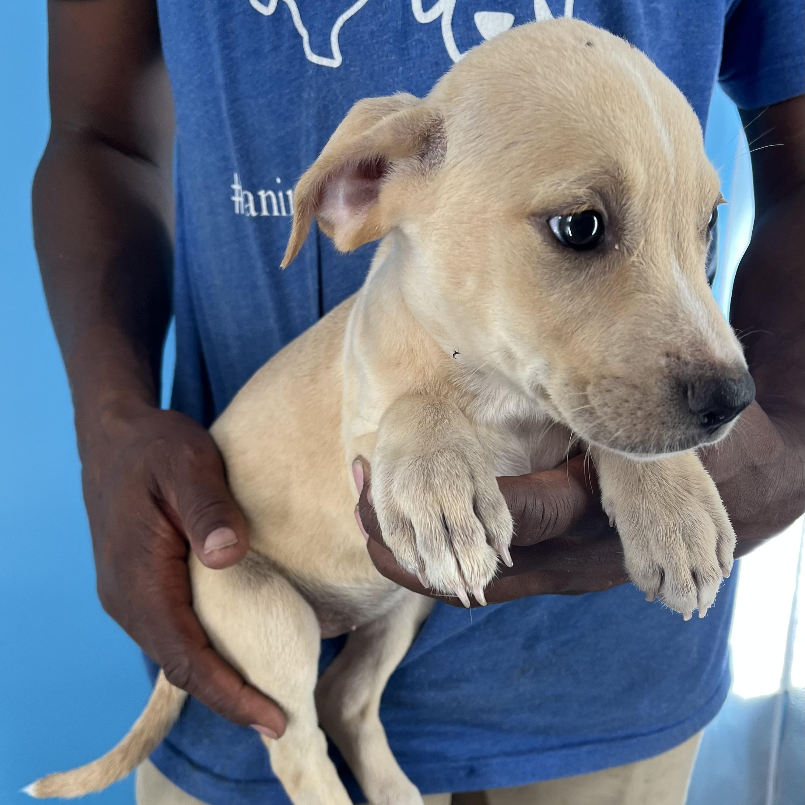 Heidi - Local Sept 26-28