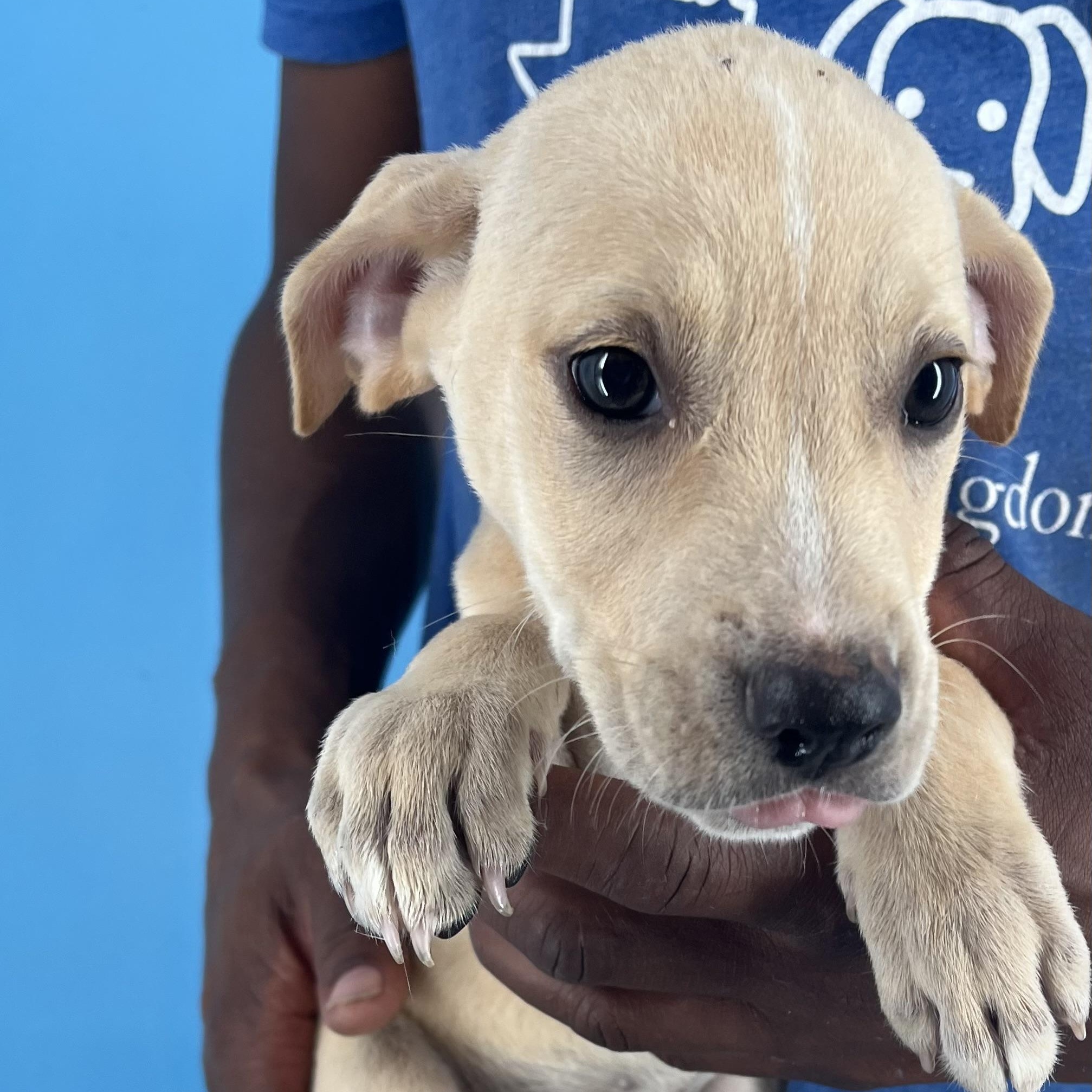 Heidi - Local Sept 26-28