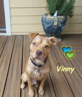 Vinny