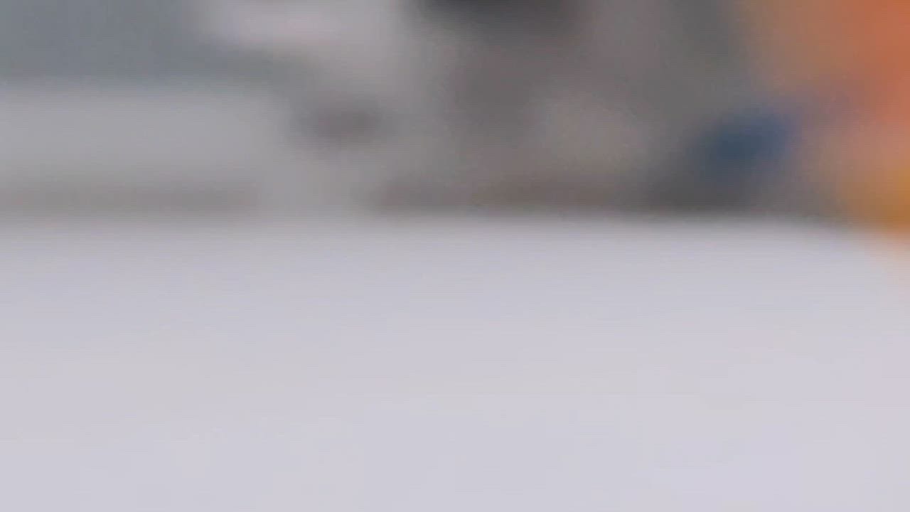 Enlarge Binx ( sweet , lovable, playful ), a ADOPTABLE American Shorthair in Staten Island, NY video 6/6