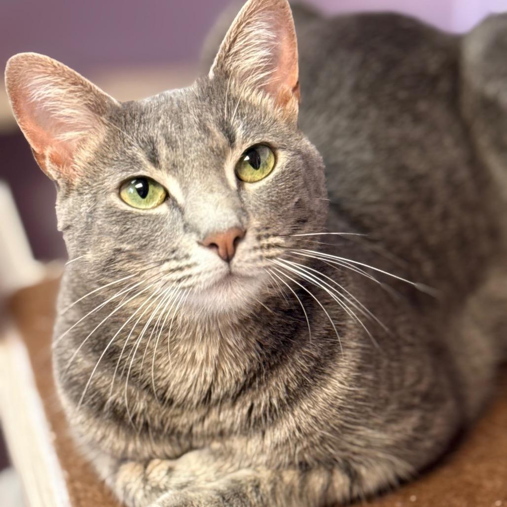 Sweetheart — thumbnail 3