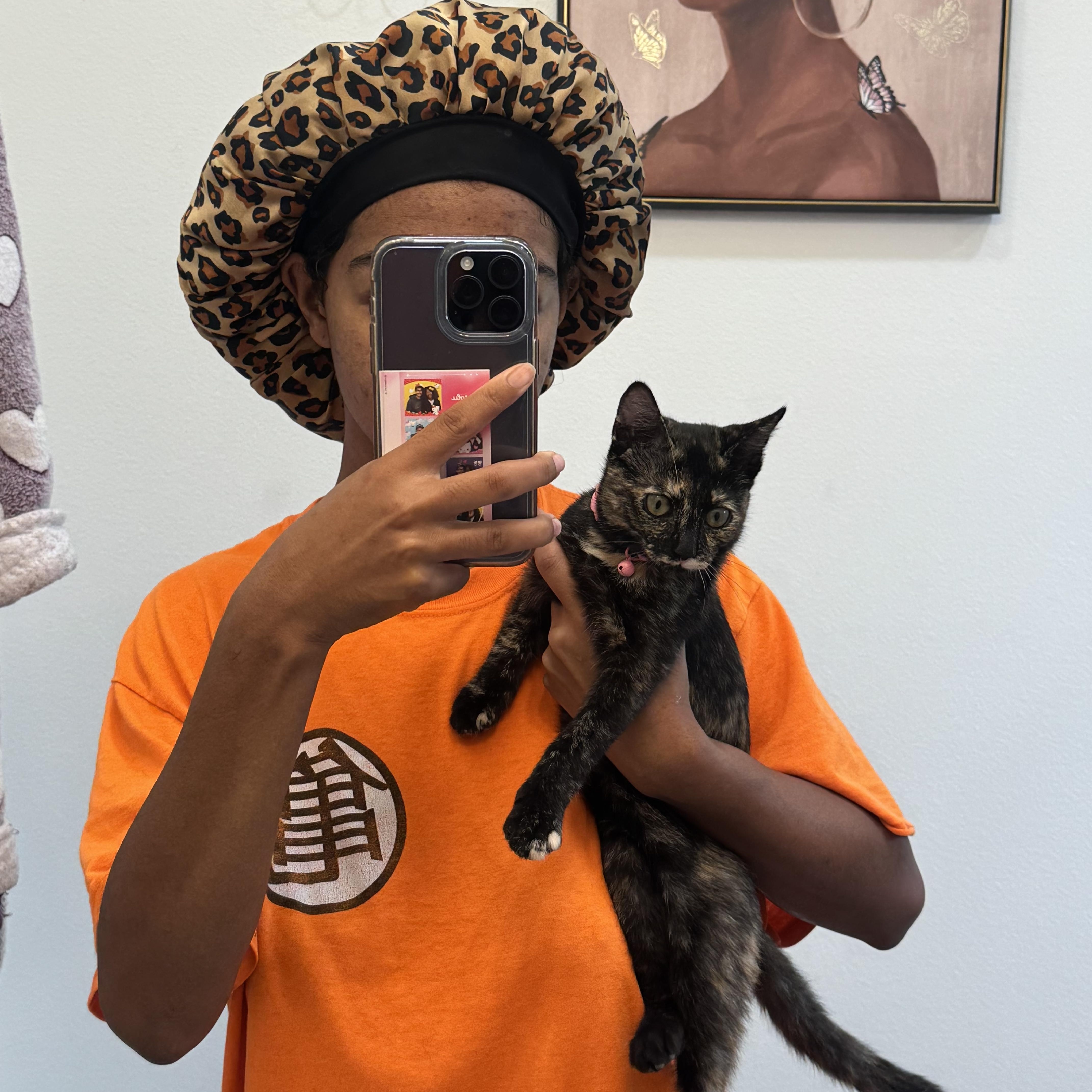 Enlarge Cinnamon, a Adopted Domestic Short Hair in Santa Ana, CA image 6/6