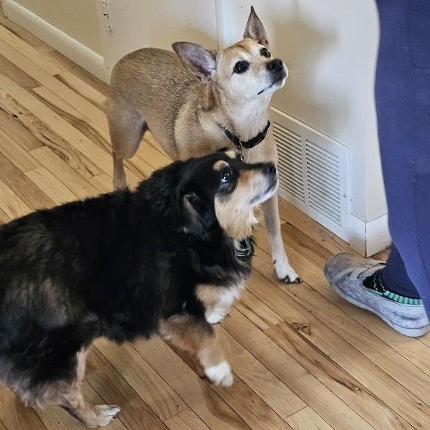 Sudds — thumbnail 2