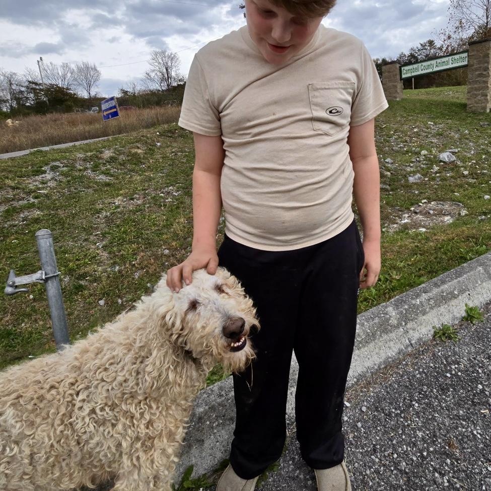 Enlarge TWEEDLEDUM, an adopted mixed breed in Warwick, RI image 2/2