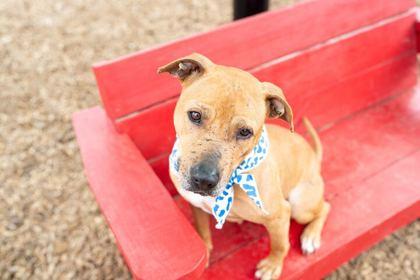 Cardi B — thumbnail 2