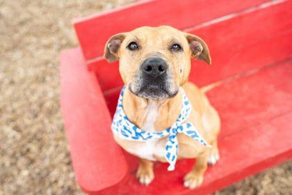 Cardi B — thumbnail 3