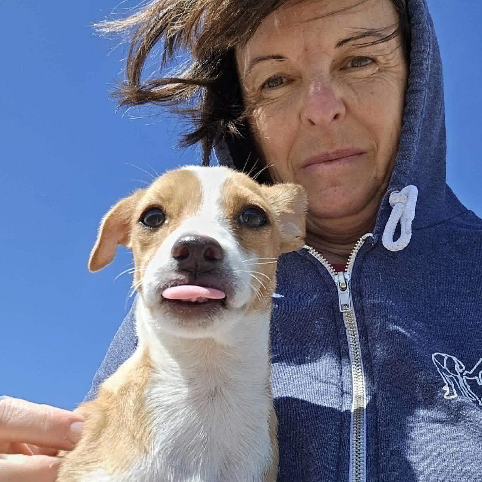 Moonshine, Adopted, Puppy Female Chihuahua & Terrier.