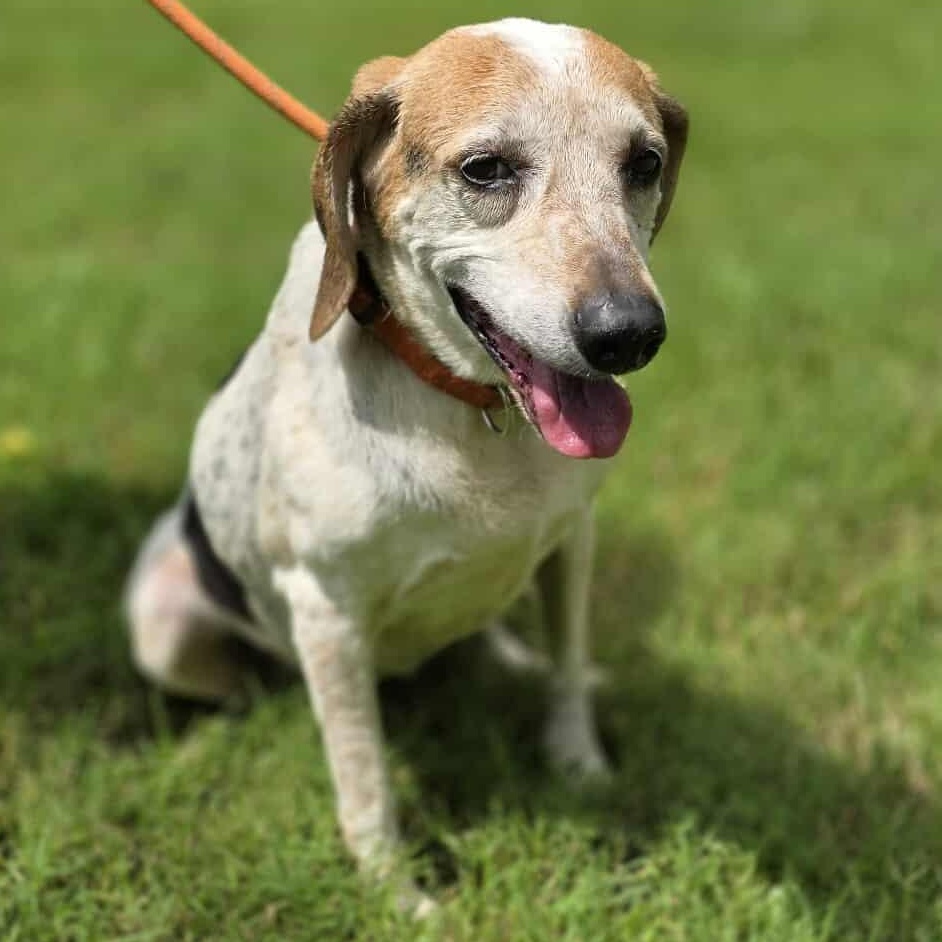 Addie, Senior Female unknown