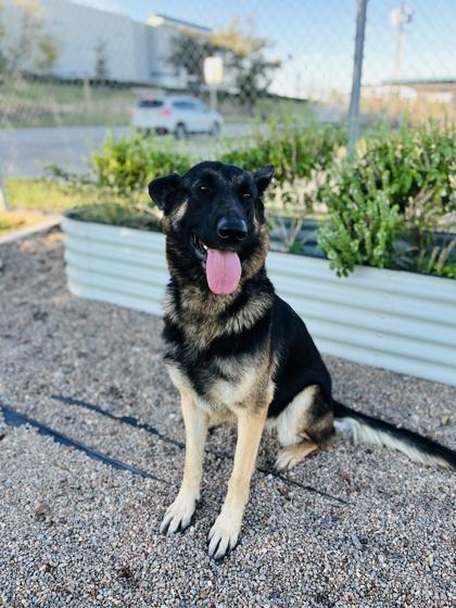 Lady — thumbnail 2