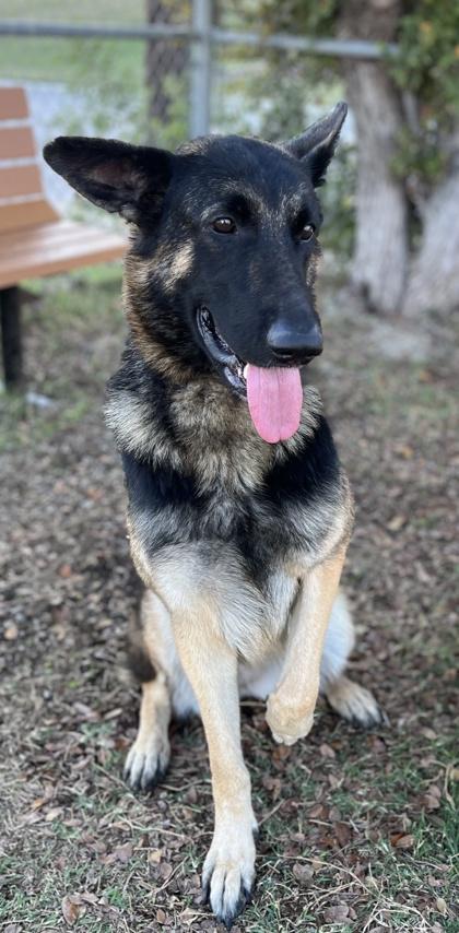 Lady — thumbnail 3