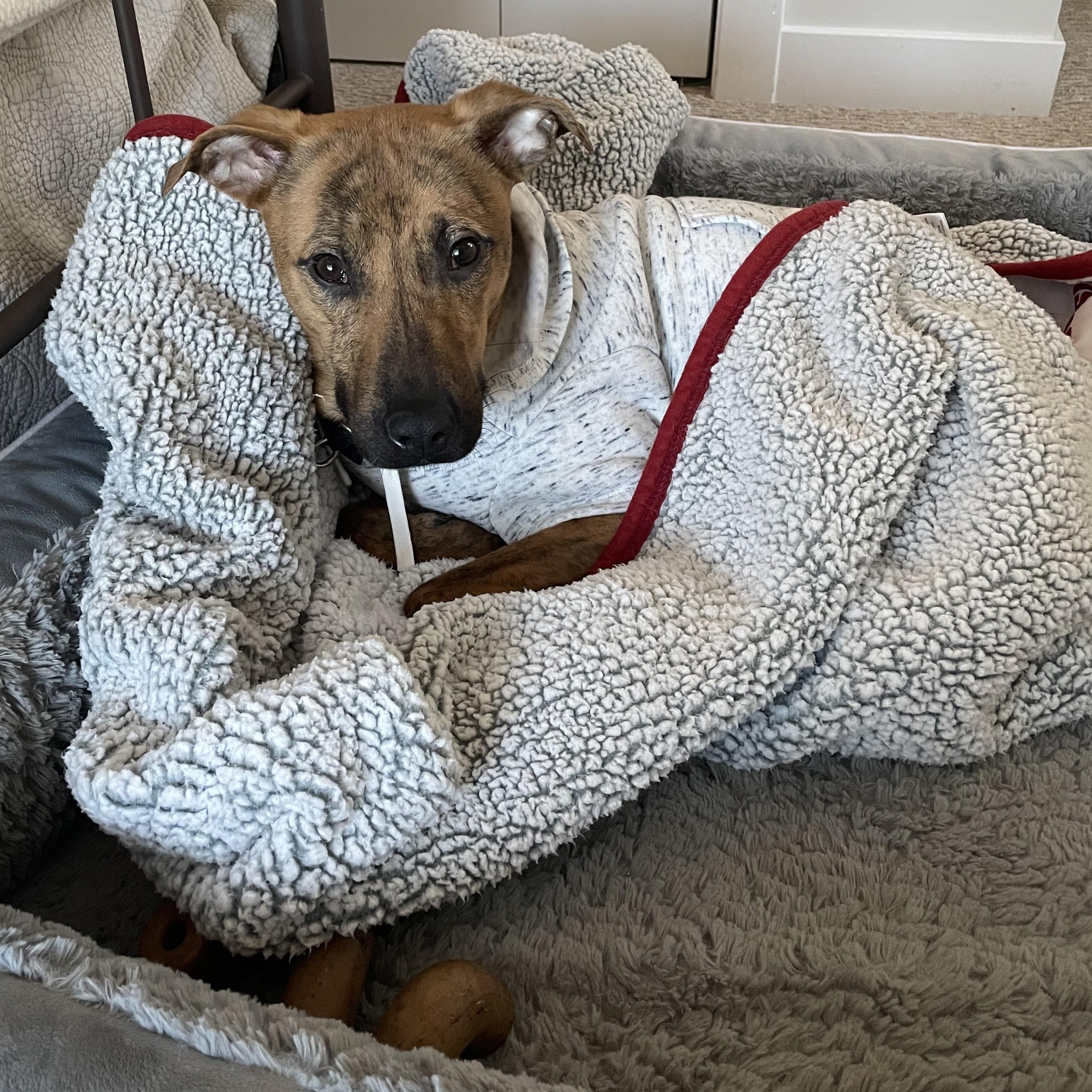 Milo