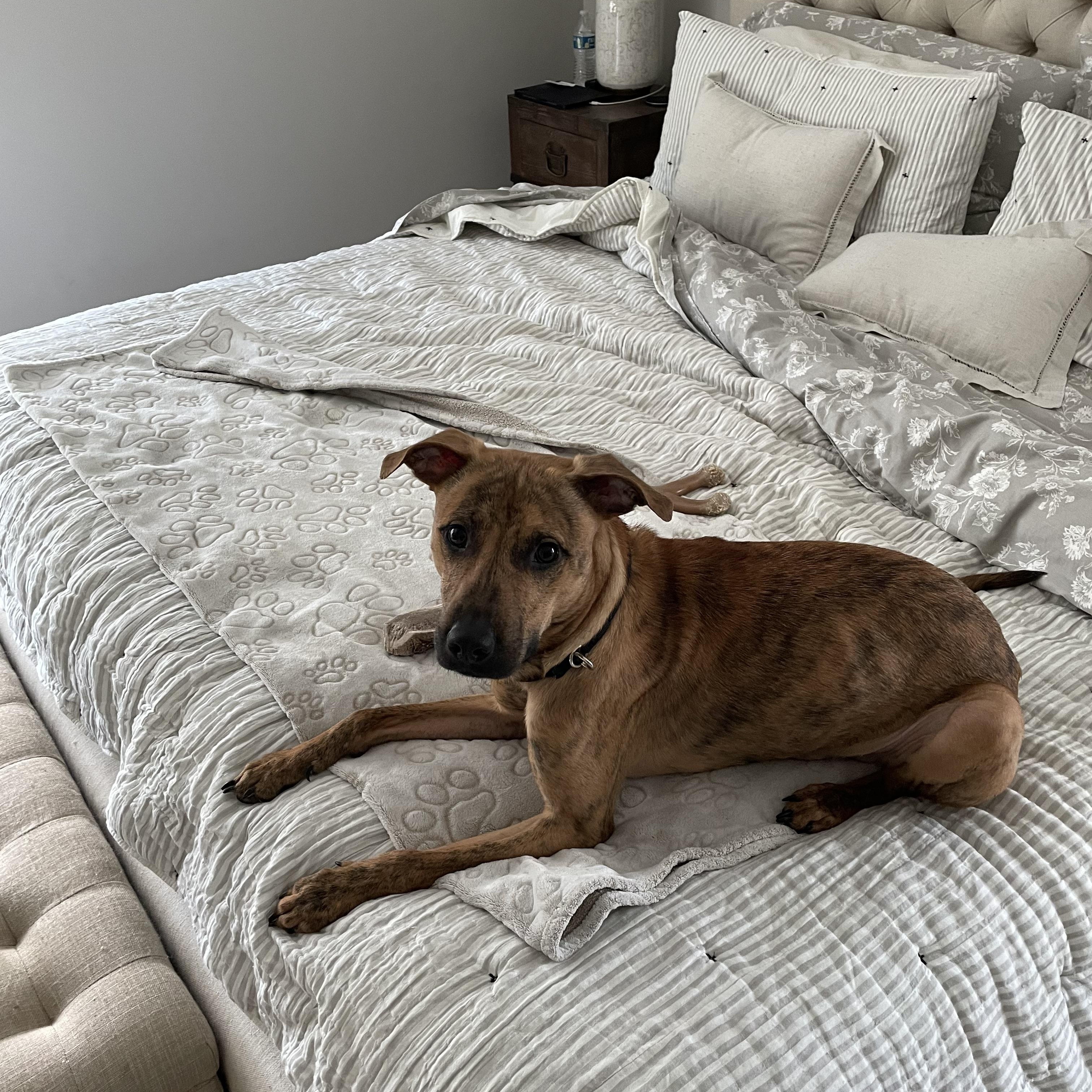 Milo