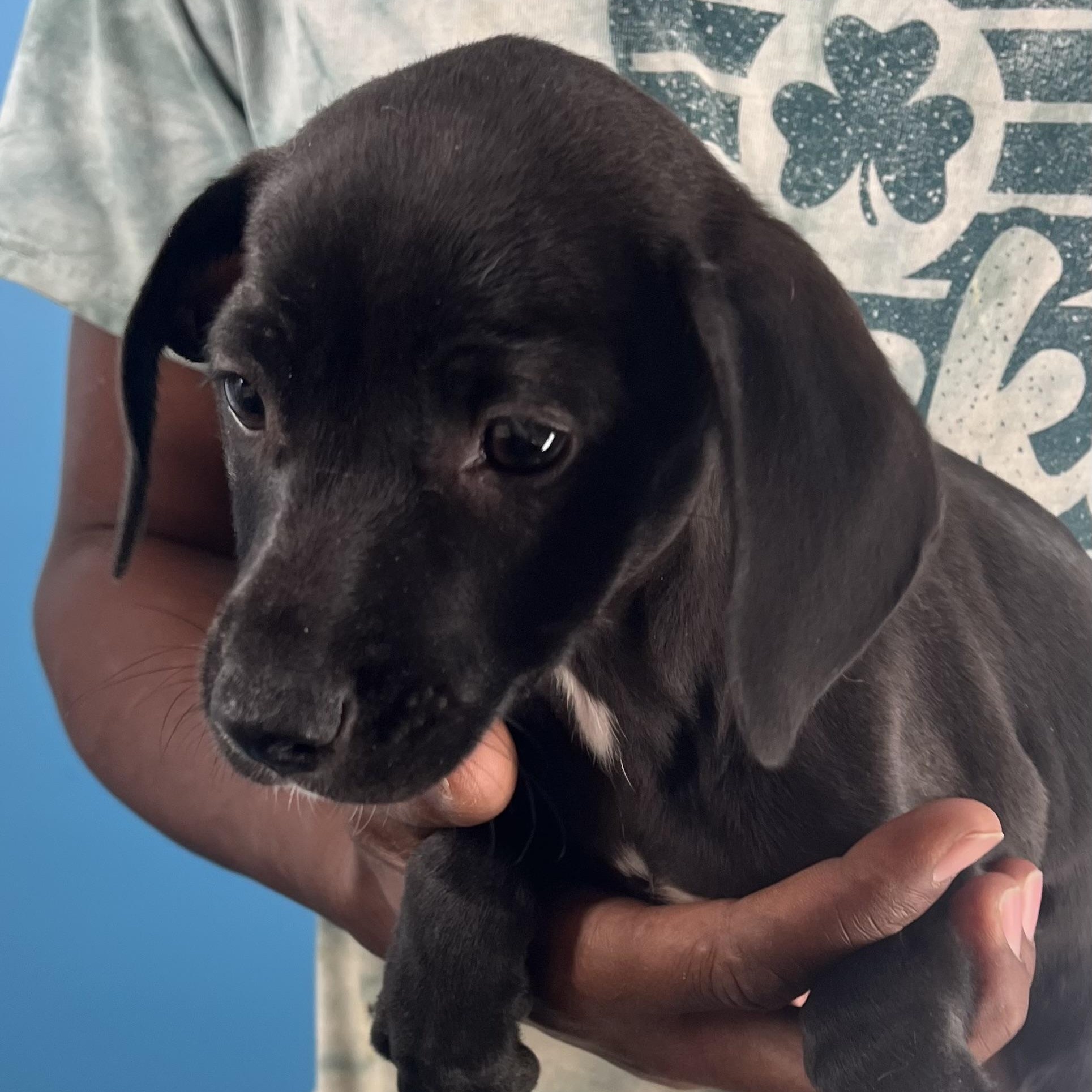 Sandy  Local Nov thumbnail 2