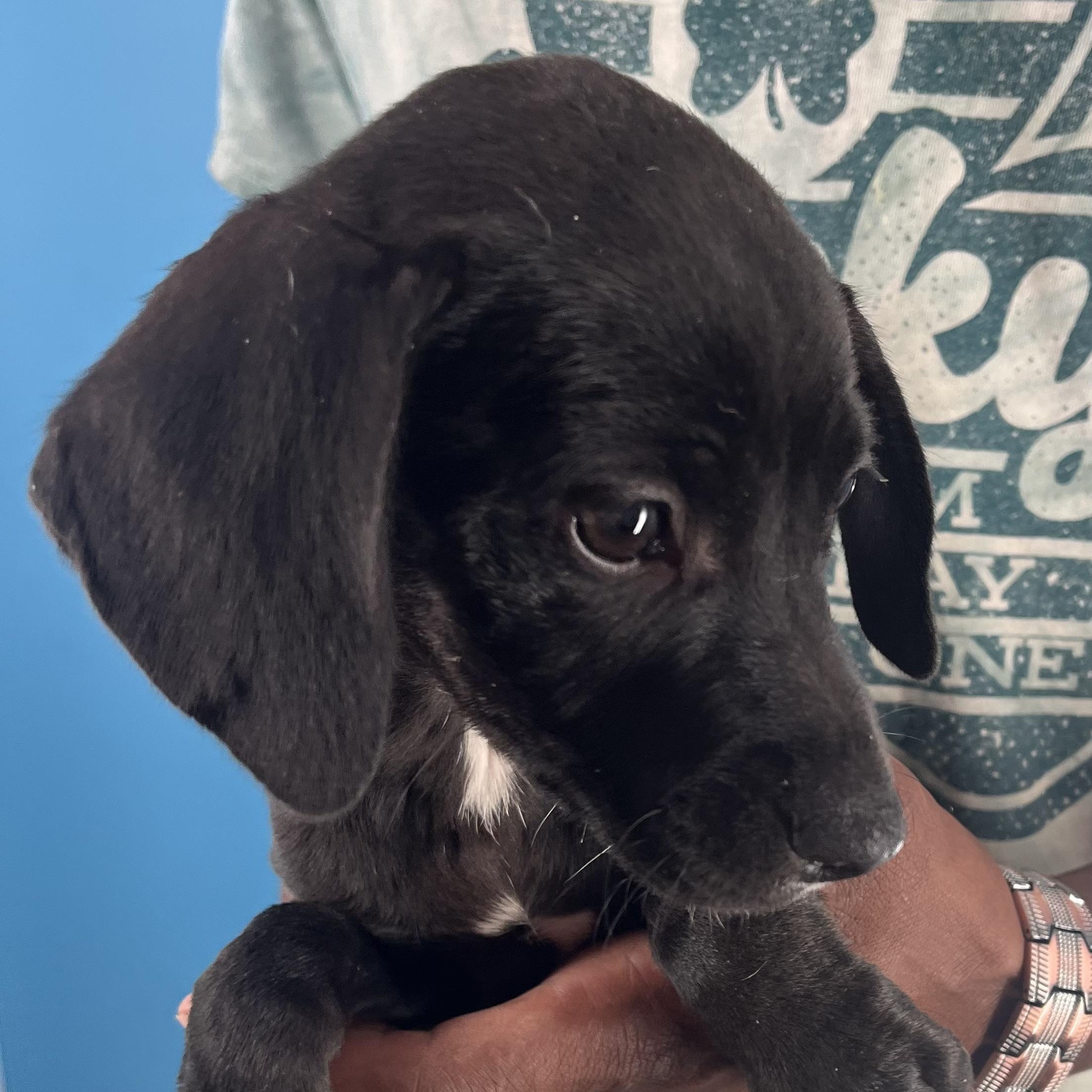 Sandy  Local Nov thumbnail 6