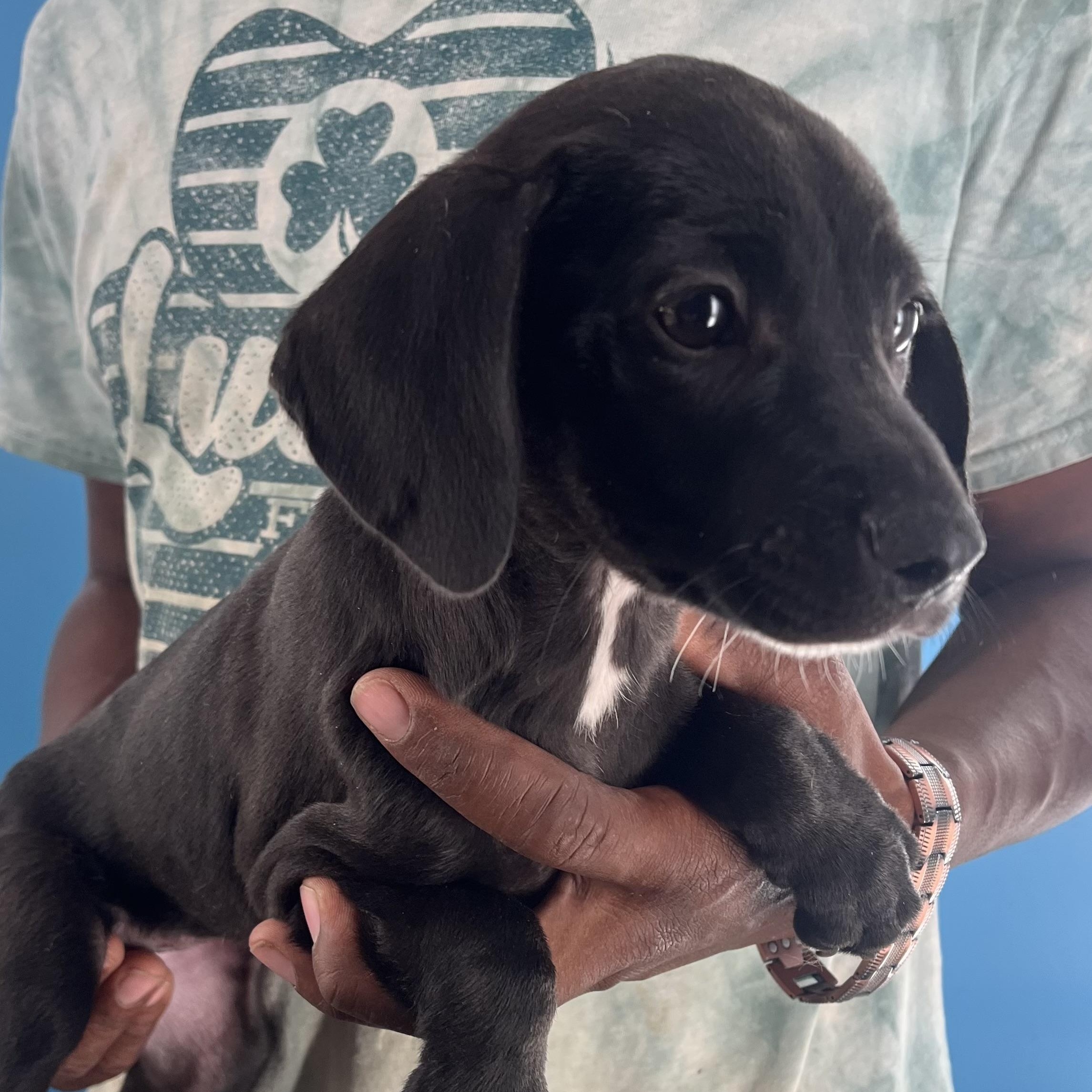 Sandy  Local Nov thumbnail 5