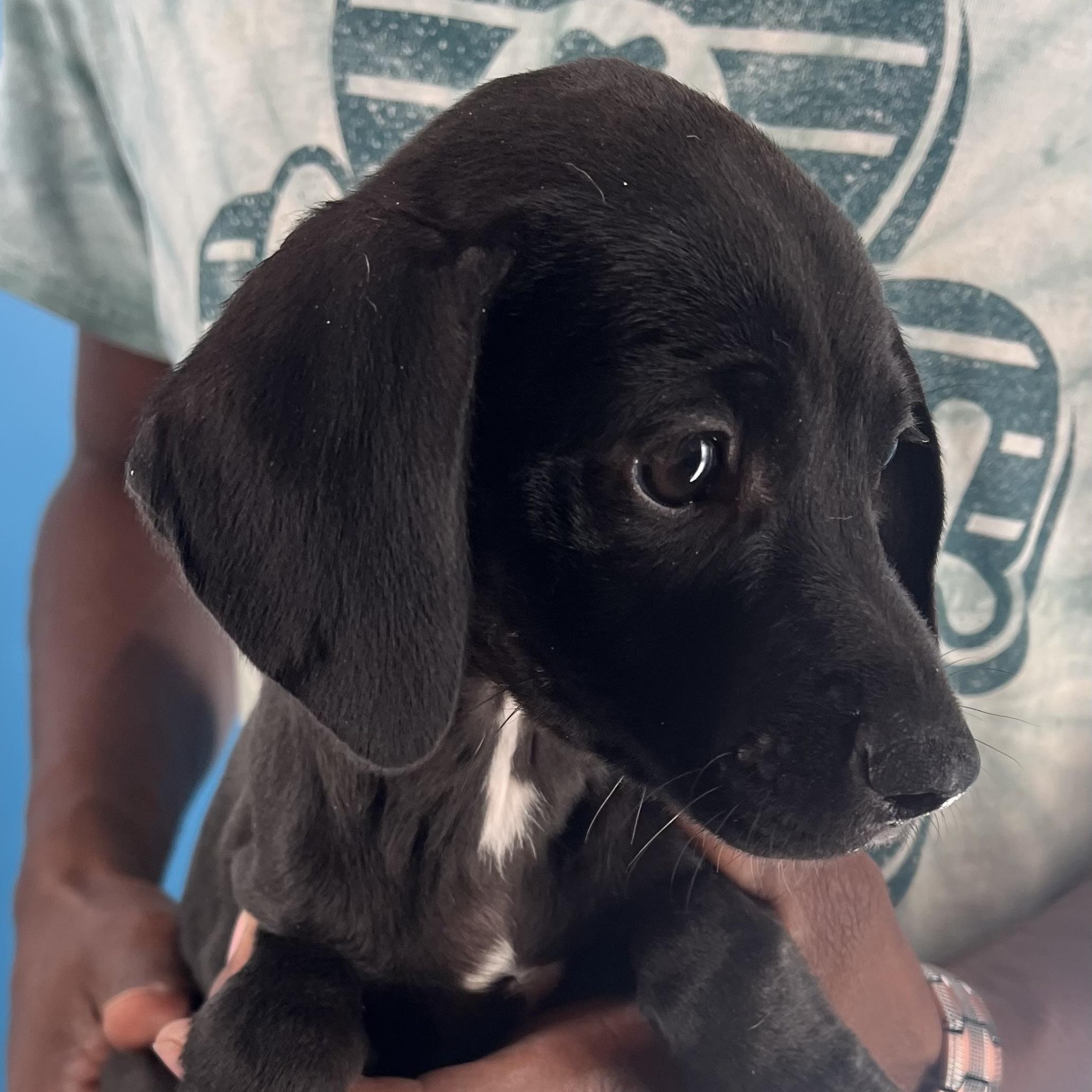 Sandy  Local Nov thumbnail 3