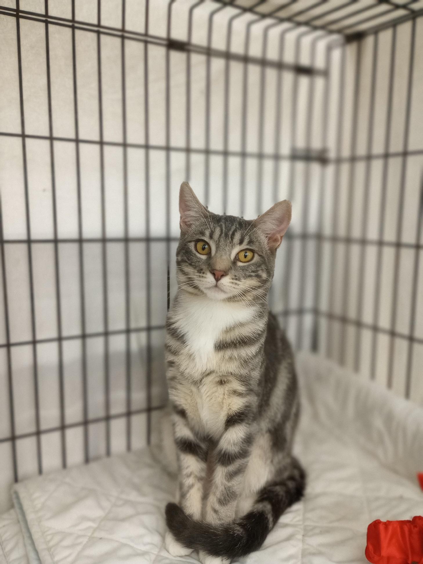 Daisy May (Courtesy Post)