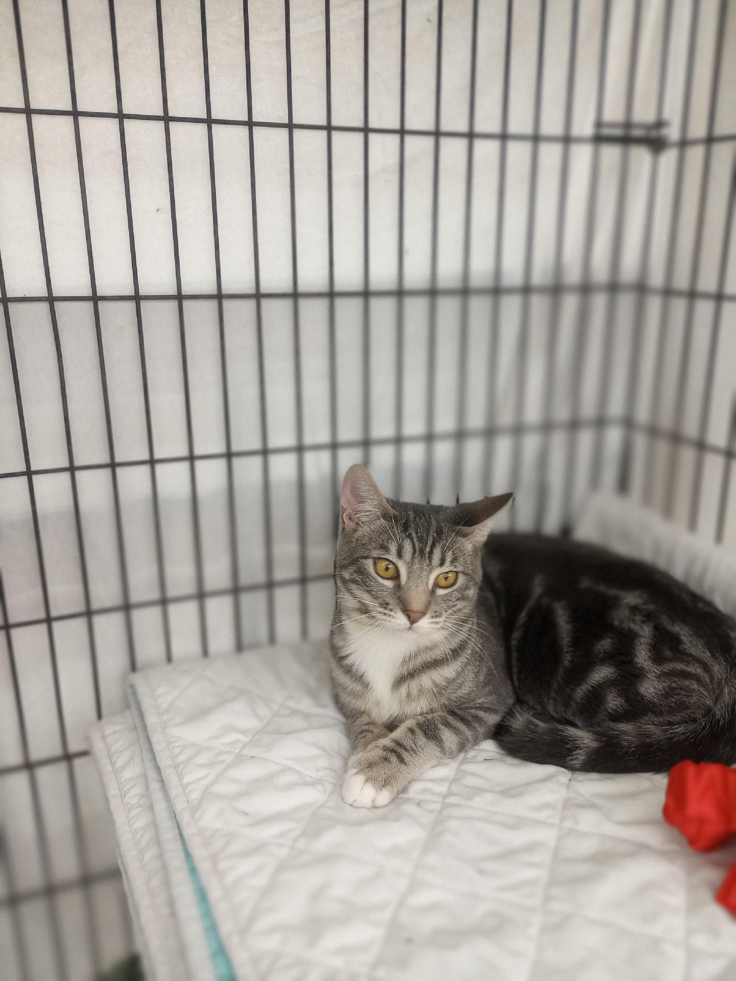 Daisy May (Courtesy Post)