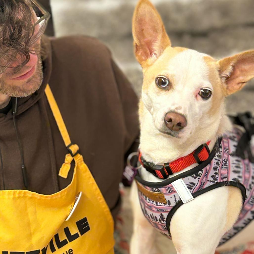 Maizie 13812 — thumbnail 2