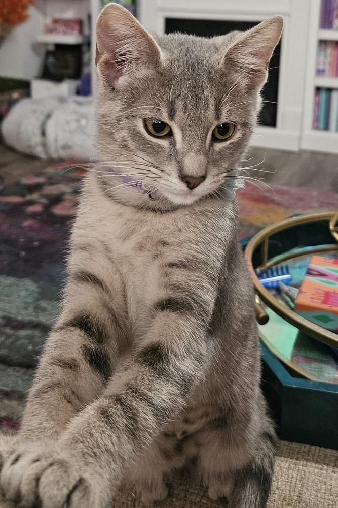 Finleigh — thumbnail 2