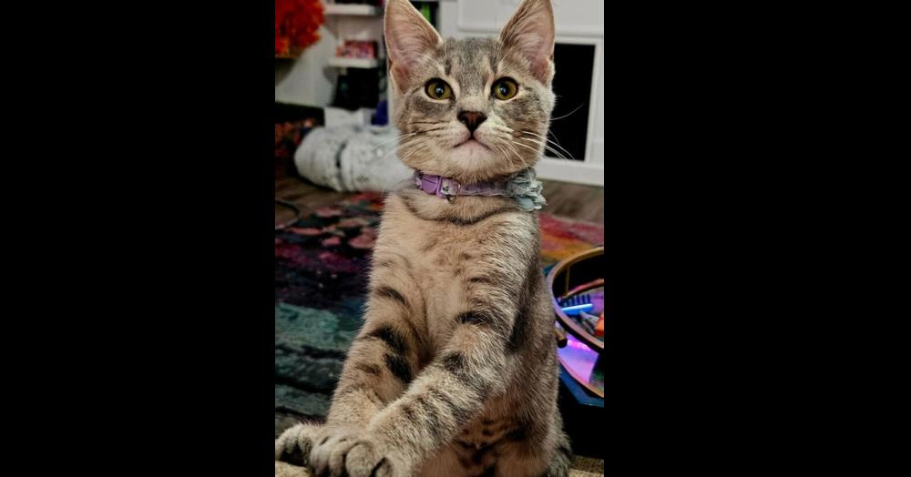 Finleigh — thumbnail 3