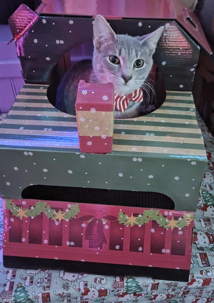 Finleigh — thumbnail 4