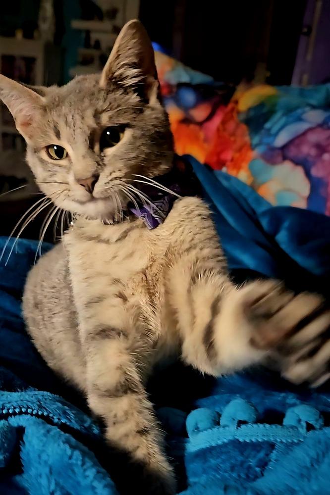 Finleigh — thumbnail 5