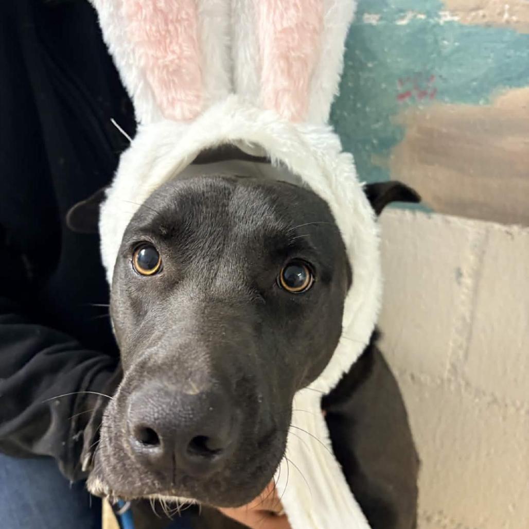 Louise — thumbnail 4