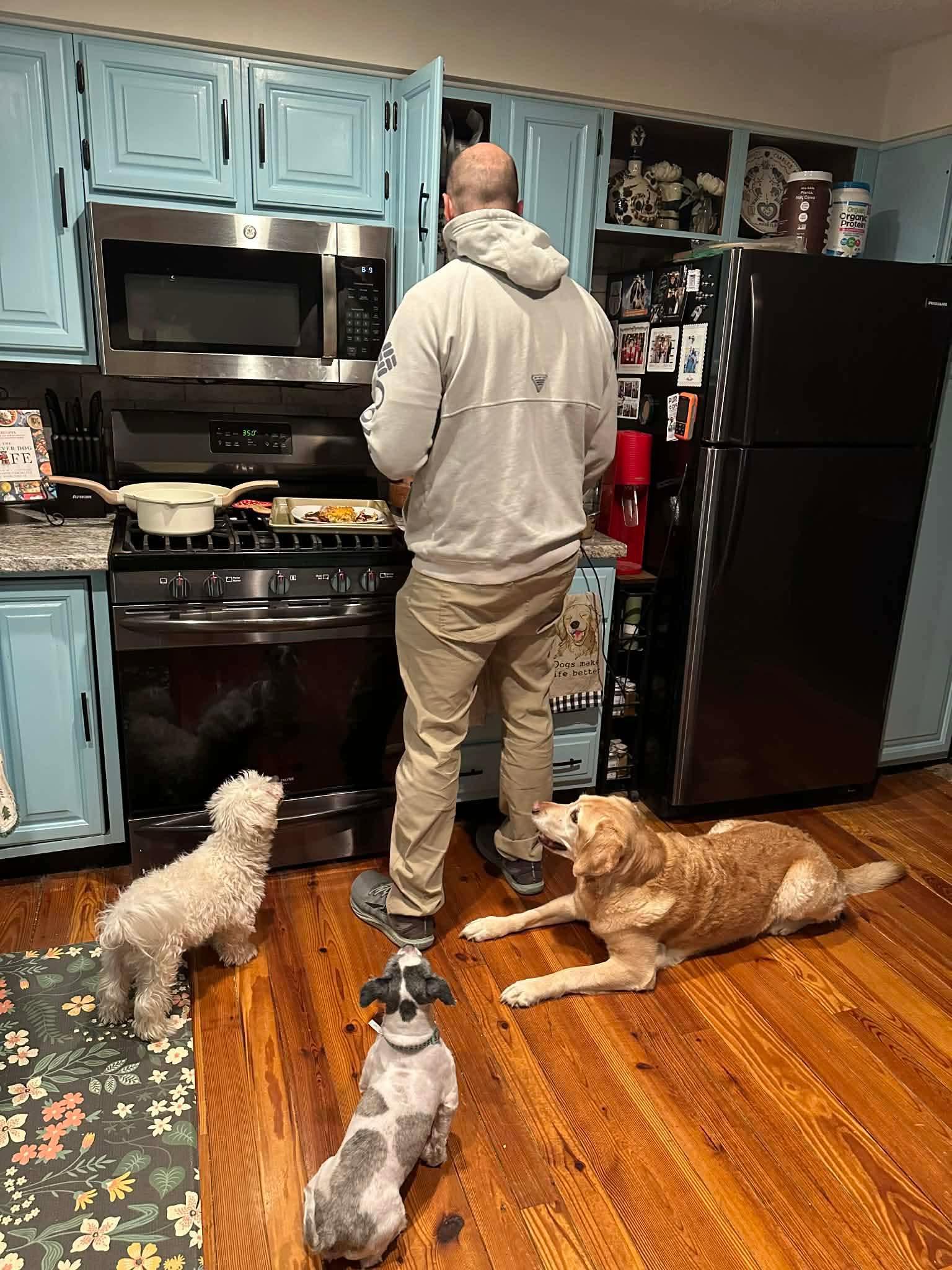 Enlarge Lou, an adopted mixed breed in Hillsdale, NY image 5/5