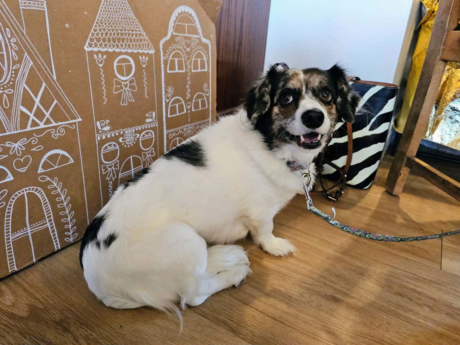 Rommy & Sophia thumbnail 2