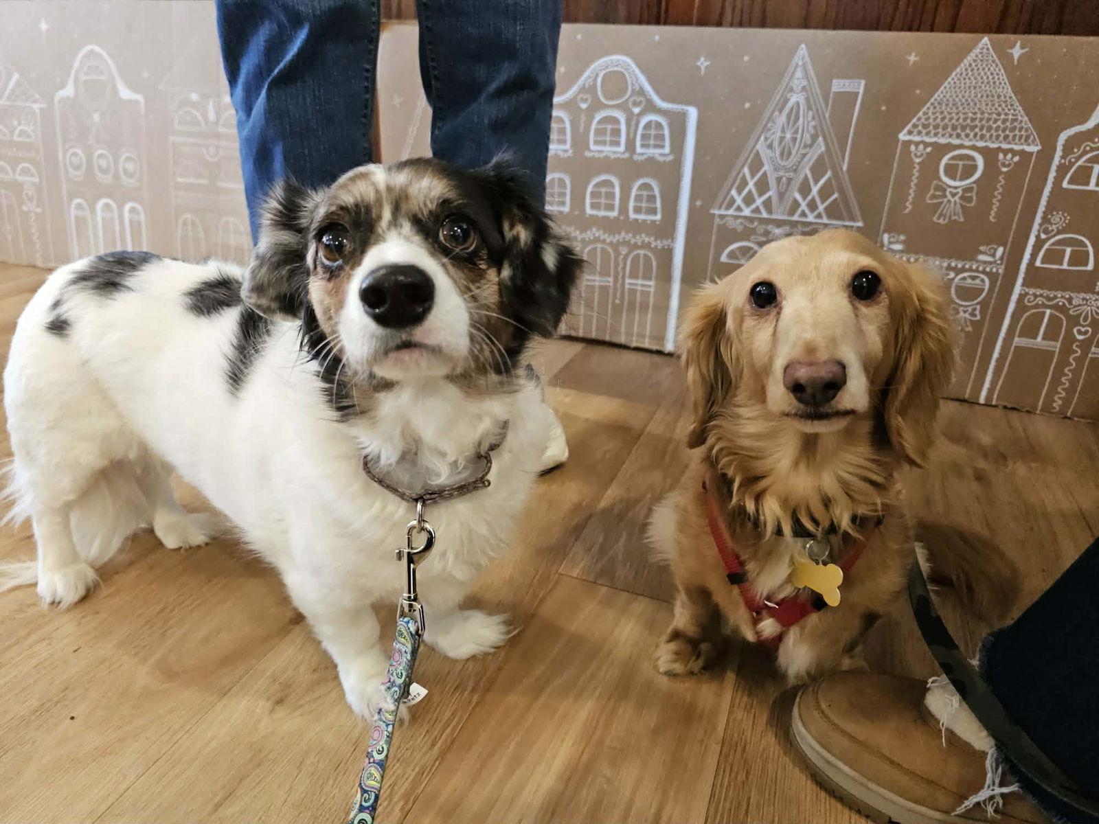 Rommy & Sophia thumbnail 3