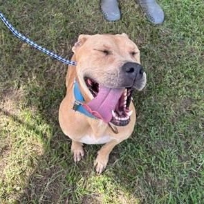 Lovely Lady — thumbnail 2