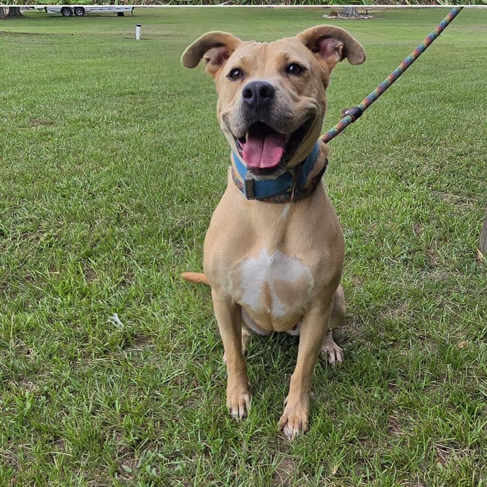 Lovely Lady — thumbnail 3