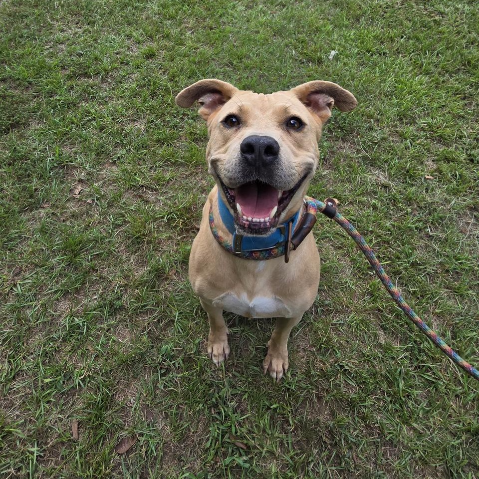 Lovely Lady — thumbnail 5