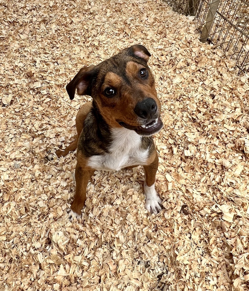 Bumble photo 2
