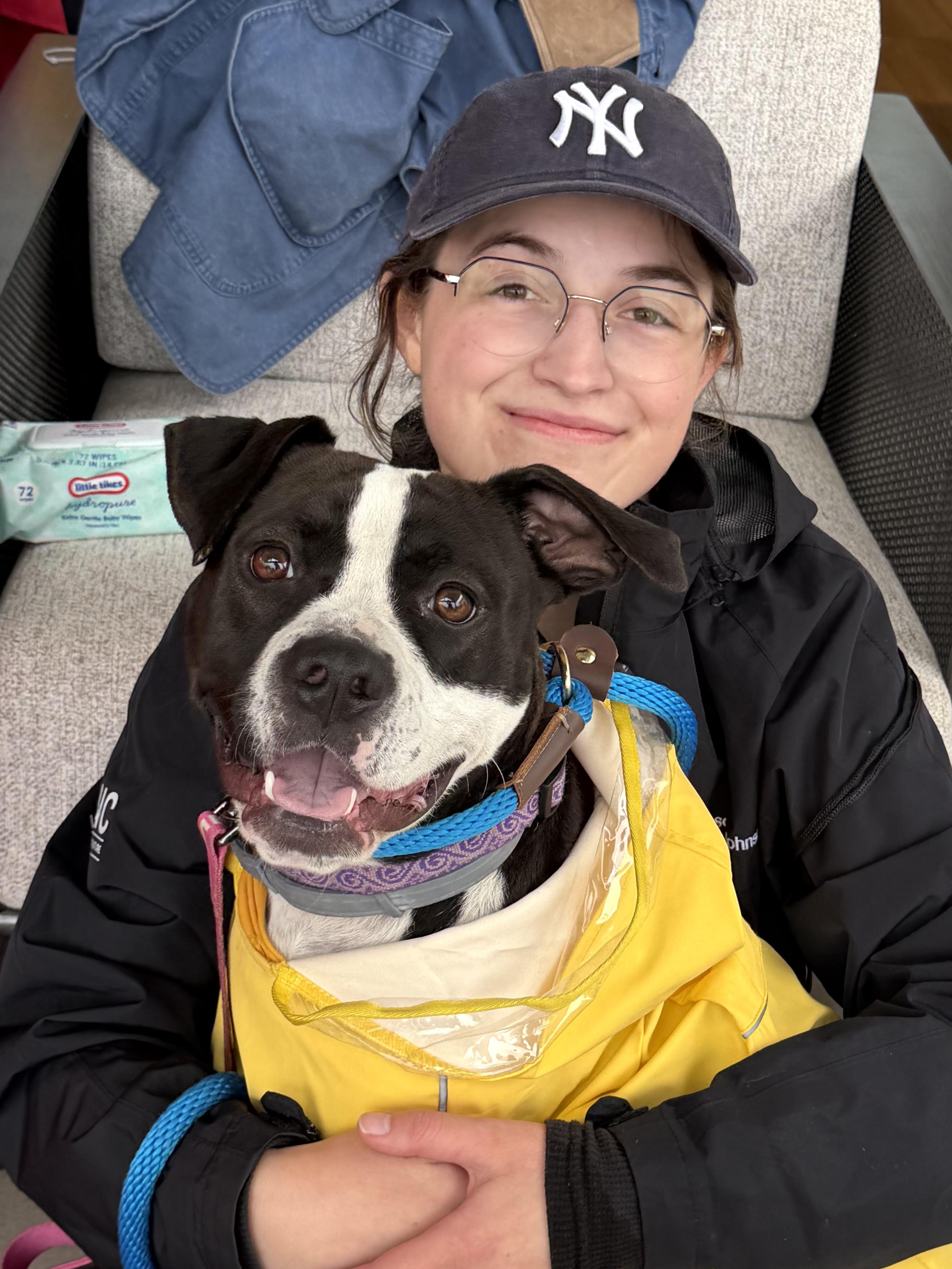 Enlarge Zuri - AVAILABLE TO FOSTER OR ADOPT, a Adoptable mixed breed in Clayton, NC image 2/6