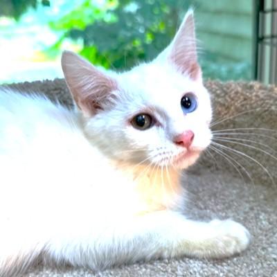 Wynter Wonder! thumbnail 4