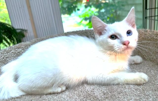 Wynter Wonder! thumbnail 6