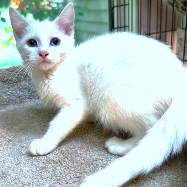 Wynter Wonder! thumbnail 3