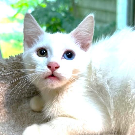 Wynter Wonder! thumbnail 5