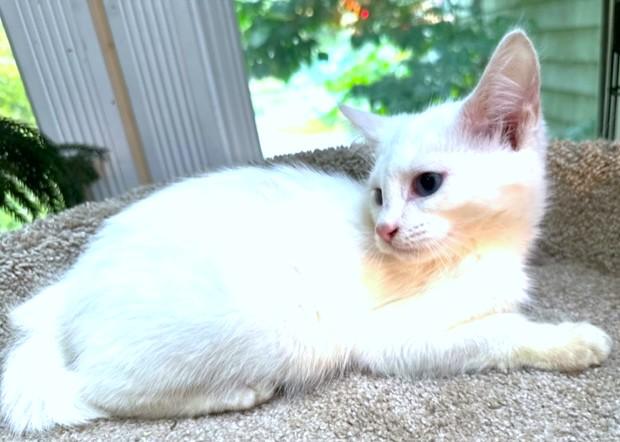 Wynter Wonder! thumbnail 2