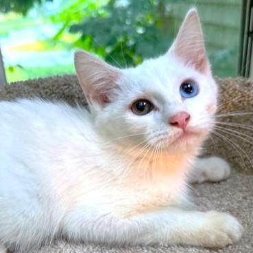 Wynter Wonder! photo 1