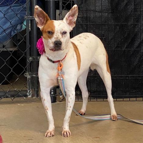 Willa — thumbnail 2