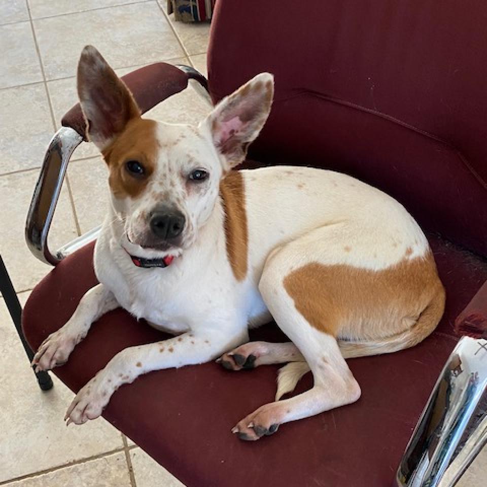 Willa — thumbnail 5