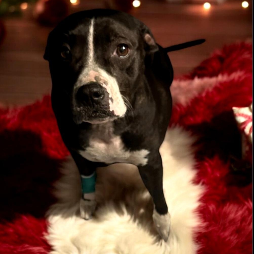 Marlena — thumbnail 2