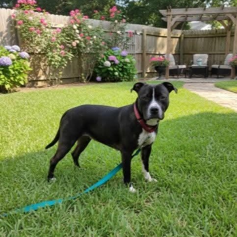 Marlena — thumbnail 4