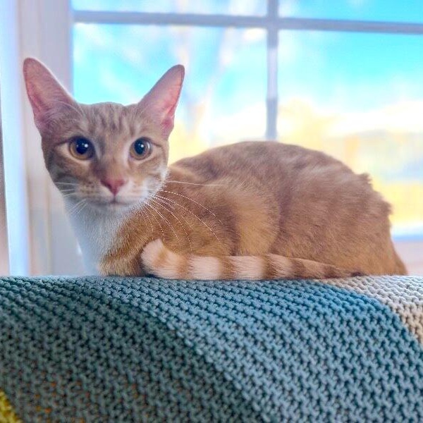 Chica Hernandez — thumbnail 3